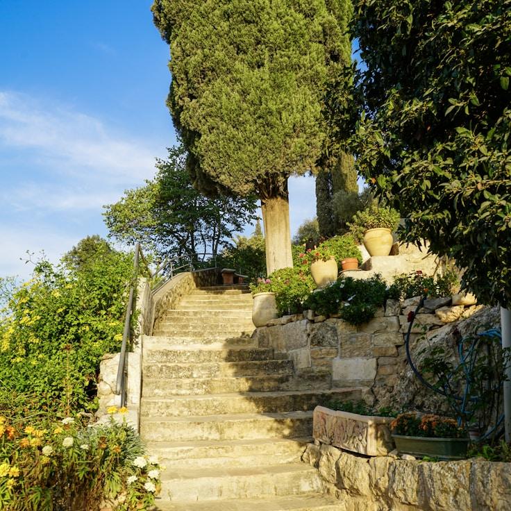 Family terraces and cafés for calm evenings in Rome